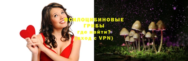 соль курить ск Алзамай