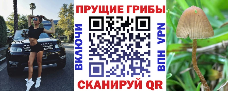 Галлюциногенные грибы ЛСД  купить закладку  Спасск 